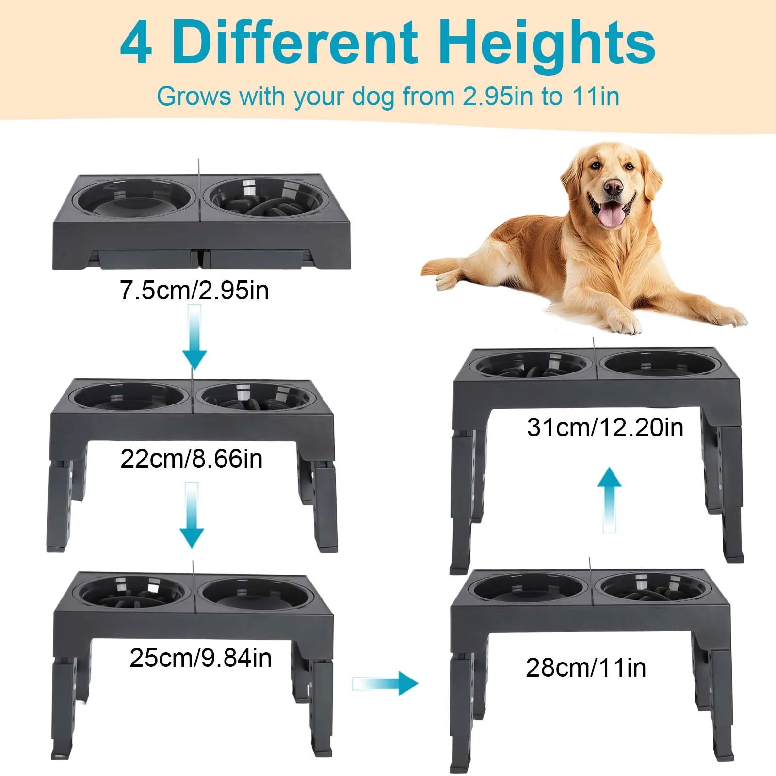 Bols surélevés réglables pour chiens, 5 hauteurs (8-31 cm), mangeoire surélevée pour chiens et chats de petite, moyenne et grande taille, réduit la fatigue du cou lors de la mangeoire en position accroupie, design pliab