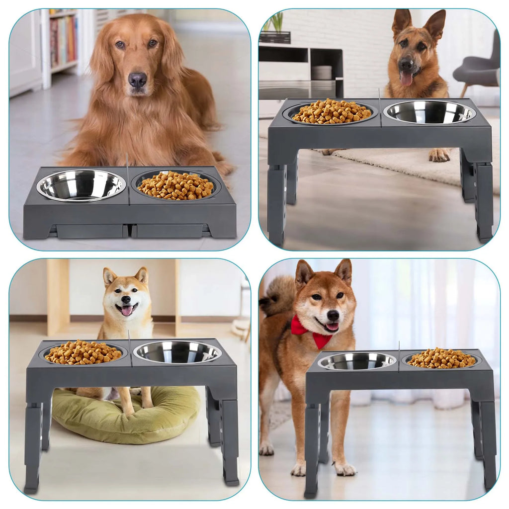 Bols surélevés réglables pour chiens, 5 hauteurs (8-31 cm), mangeoire surélevée pour chiens et chats de petite, moyenne et grande taille, réduit la fatigue du cou lors de la mangeoire en position accroupie, design pliab