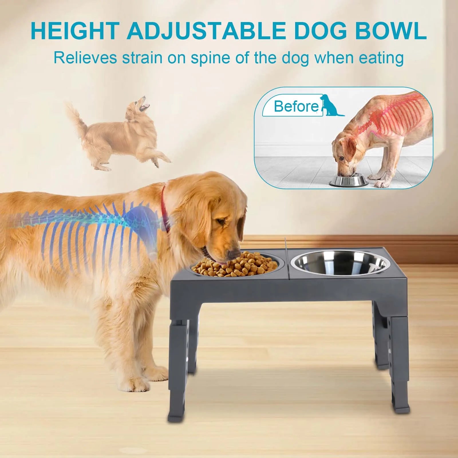 Bols surélevés réglables pour chiens, 5 hauteurs (8-31 cm), mangeoire surélevée pour chiens et chats de petite, moyenne et grande taille, réduit la fatigue du cou lors de la mangeoire en position accroupie, design pliab