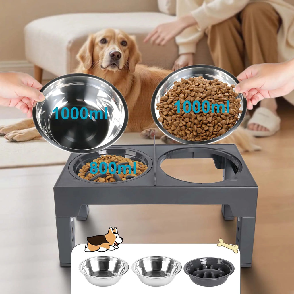 Bols surélevés réglables pour chiens, 5 hauteurs (8-31 cm), mangeoire surélevée pour chiens et chats de petite, moyenne et grande taille, réduit la fatigue du cou lors de la mangeoire en position accroupie, design pliab