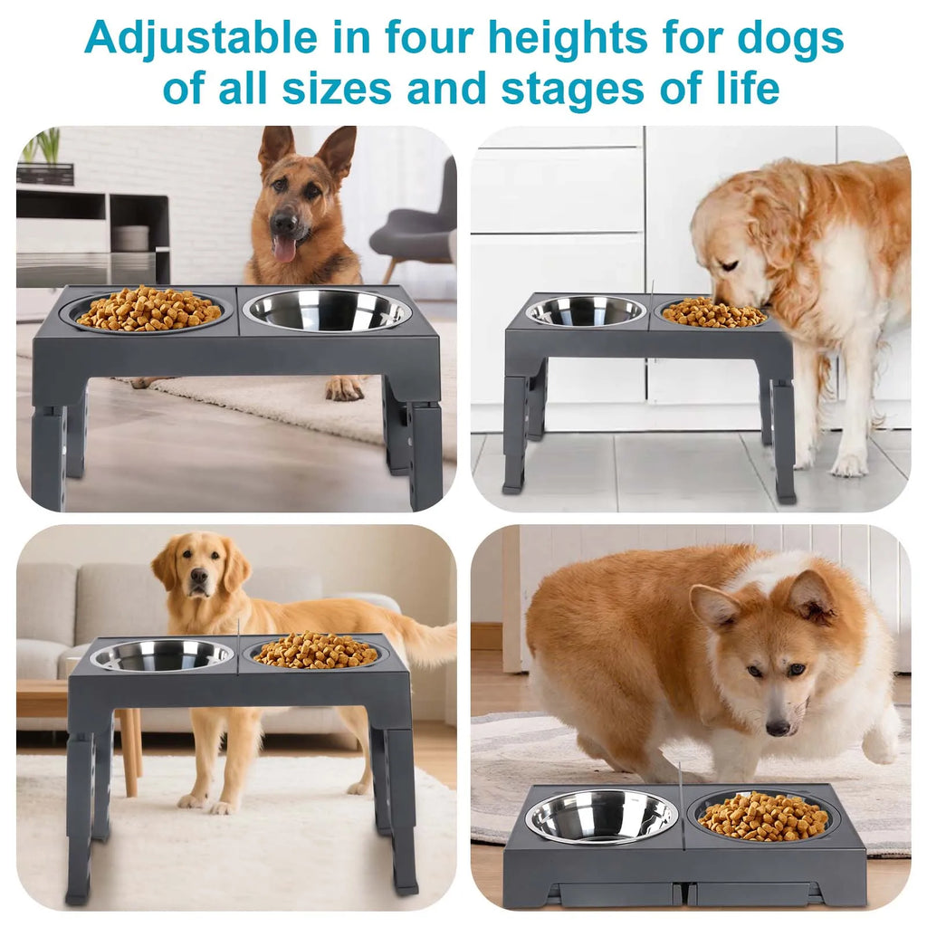 Bols surélevés réglables pour chiens, 5 hauteurs (8-31 cm), mangeoire surélevée pour chiens et chats de petite, moyenne et grande taille, réduit la fatigue du cou lors de la mangeoire en position accroupie, design pliab