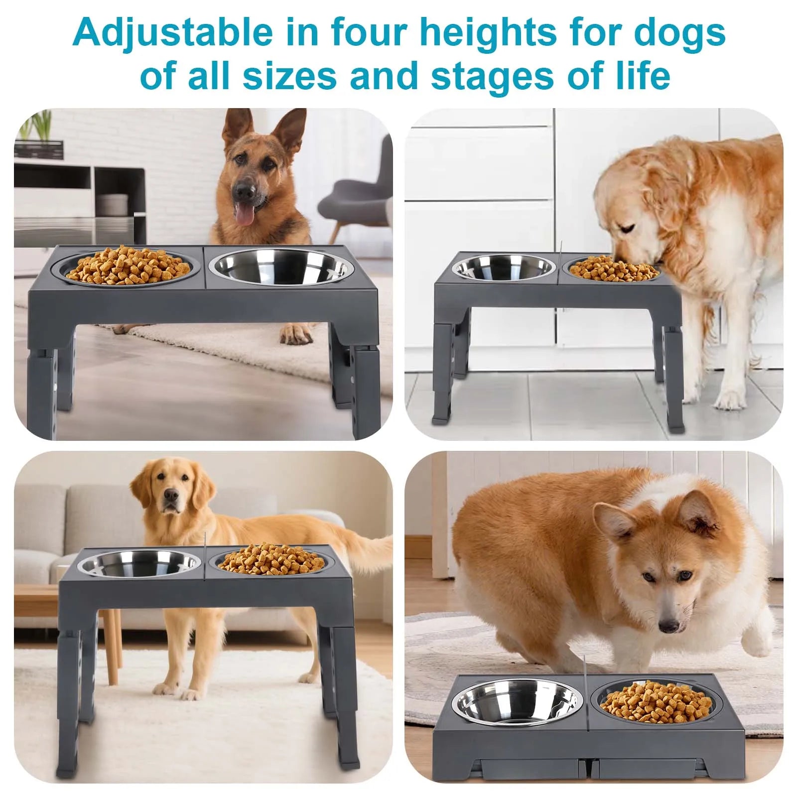 Bols surélevés réglables pour chiens, 5 hauteurs (8-31 cm), mangeoire surélevée pour chiens et chats de petite, moyenne et grande taille, réduit la fatigue du cou lors de la mangeoire en position accroupie, design pliab