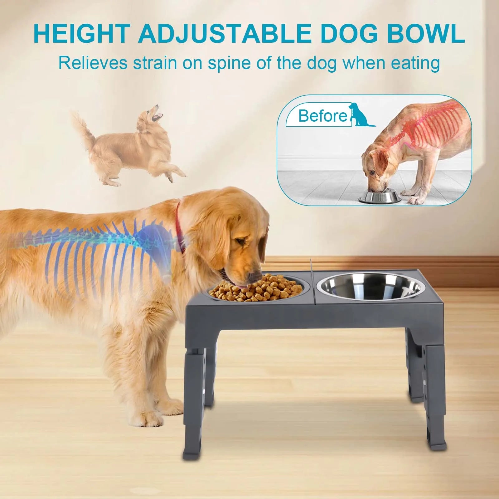 Bols surélevés réglables pour chiens, 5 hauteurs (8-31 cm), mangeoire surélevée pour chiens et chats de petite, moyenne et grande taille, réduit la fatigue du cou lors de la mangeoire en position accroupie, design pliab