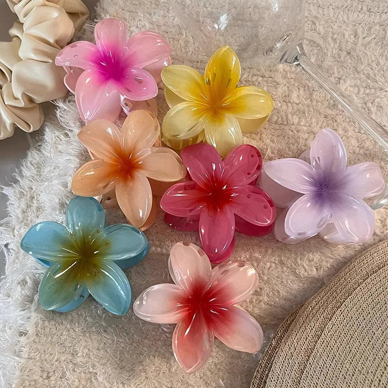 Pince à cheveux en acétate vintage pour femmes ! Tout type de coloris ✨