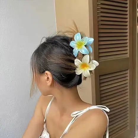 Pince à cheveux en acétate vintage pour femmes ! Tout type de coloris ✨