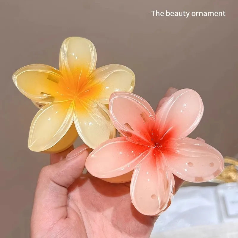 Pince à cheveux en acétate vintage pour femmes ! Tout type de coloris ✨