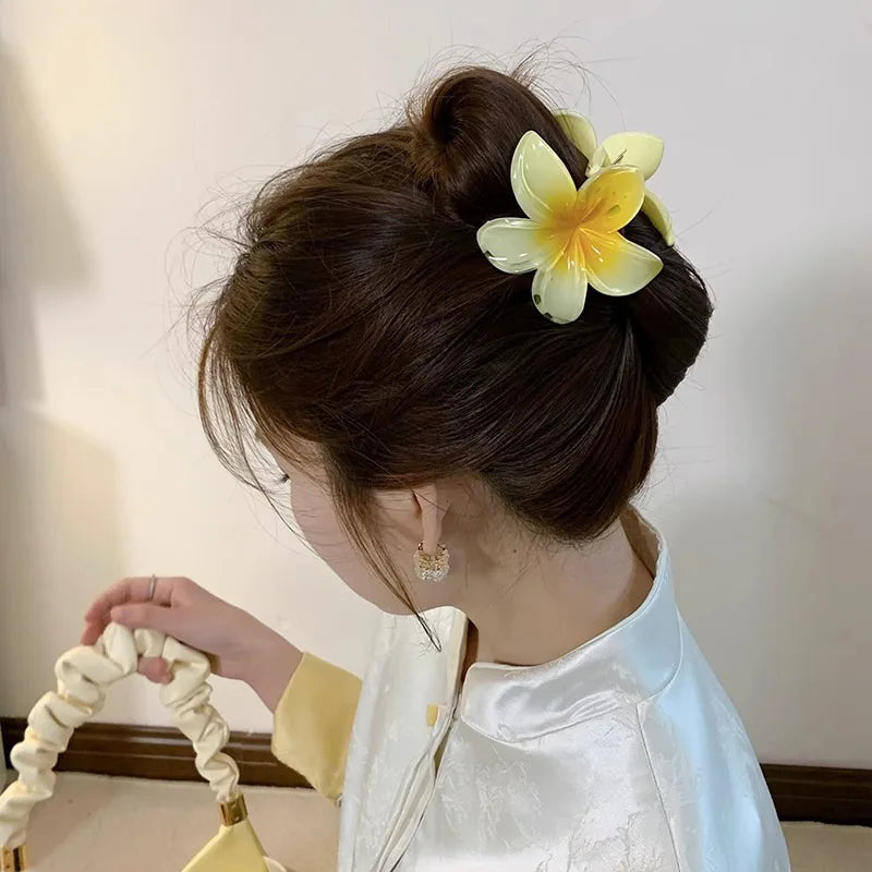 Pince à cheveux en acétate vintage pour femmes ! Tout type de coloris ✨