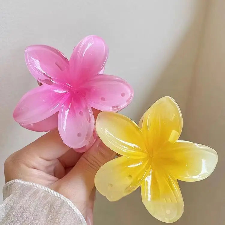 Pince à cheveux en acétate vintage pour femmes ! Tout type de coloris ✨
