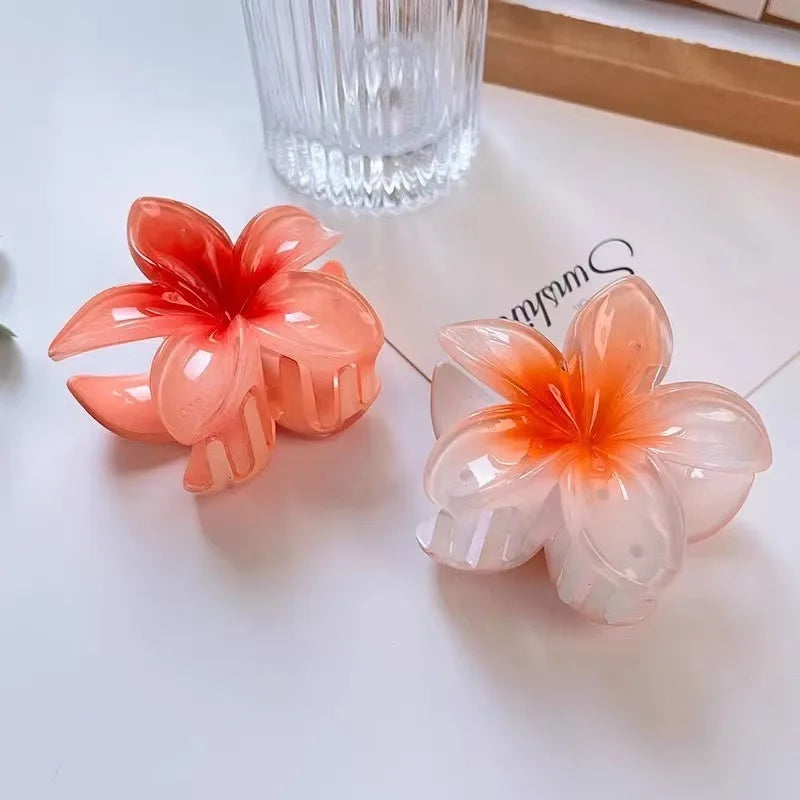 Pince à cheveux en acétate vintage pour femmes ! Tout type de coloris ✨
