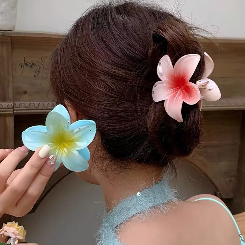 Pince à cheveux en acétate vintage pour femmes ! Tout type de coloris ✨