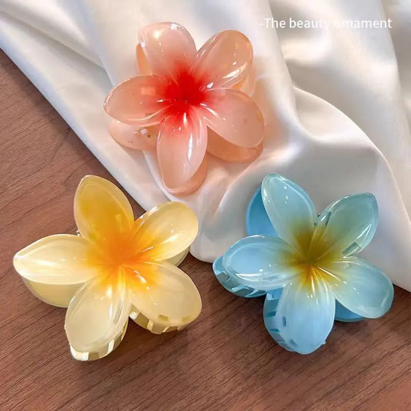 Pince à cheveux en acétate vintage pour femmes ! Tout type de coloris ✨