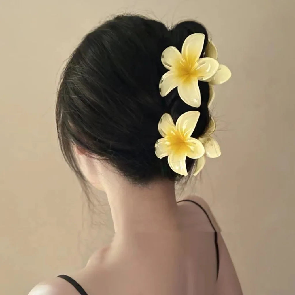 Pince à cheveux en acétate vintage pour femmes ! Tout type de coloris ✨