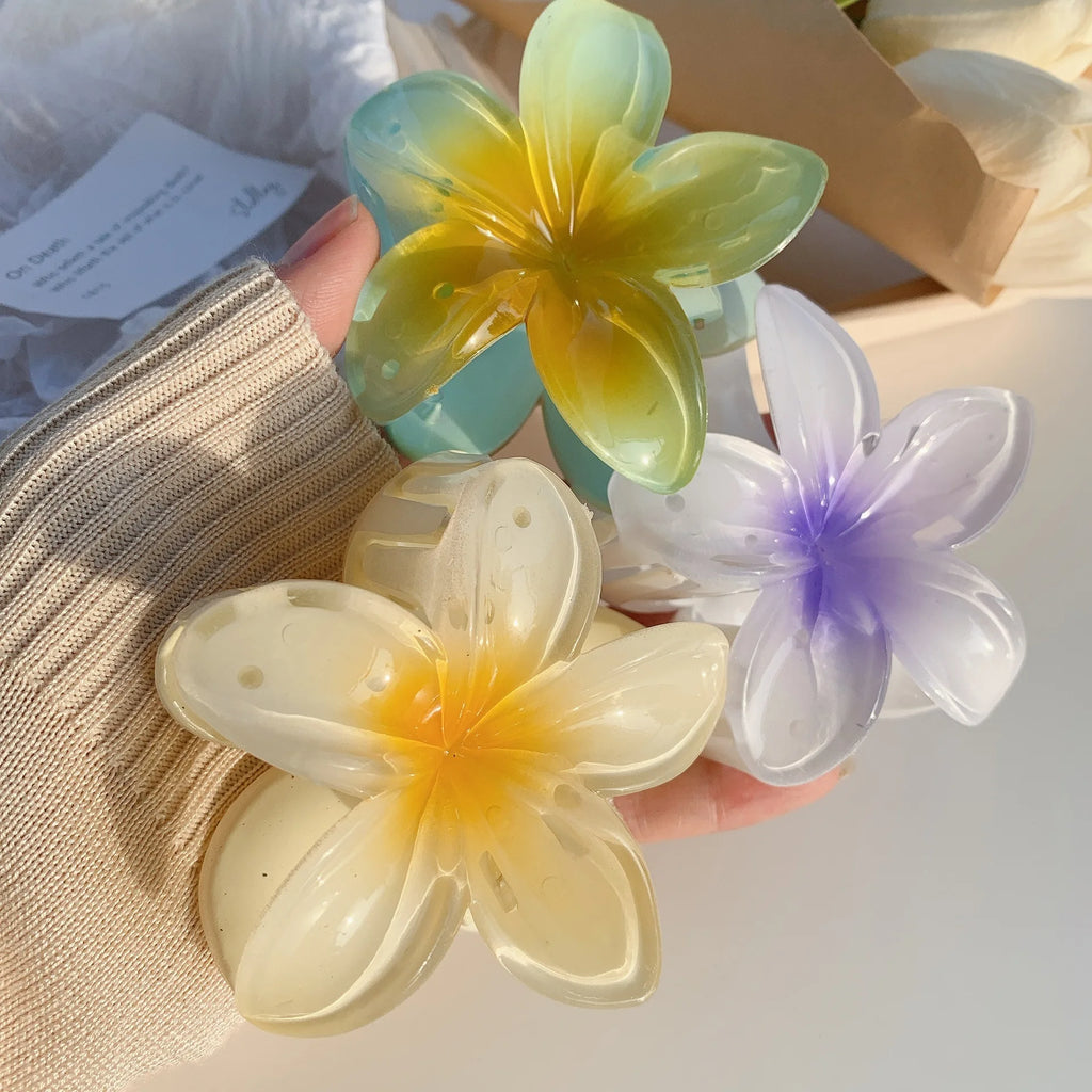 Pince à cheveux en acétate vintage pour femmes ! Tout type de coloris ✨